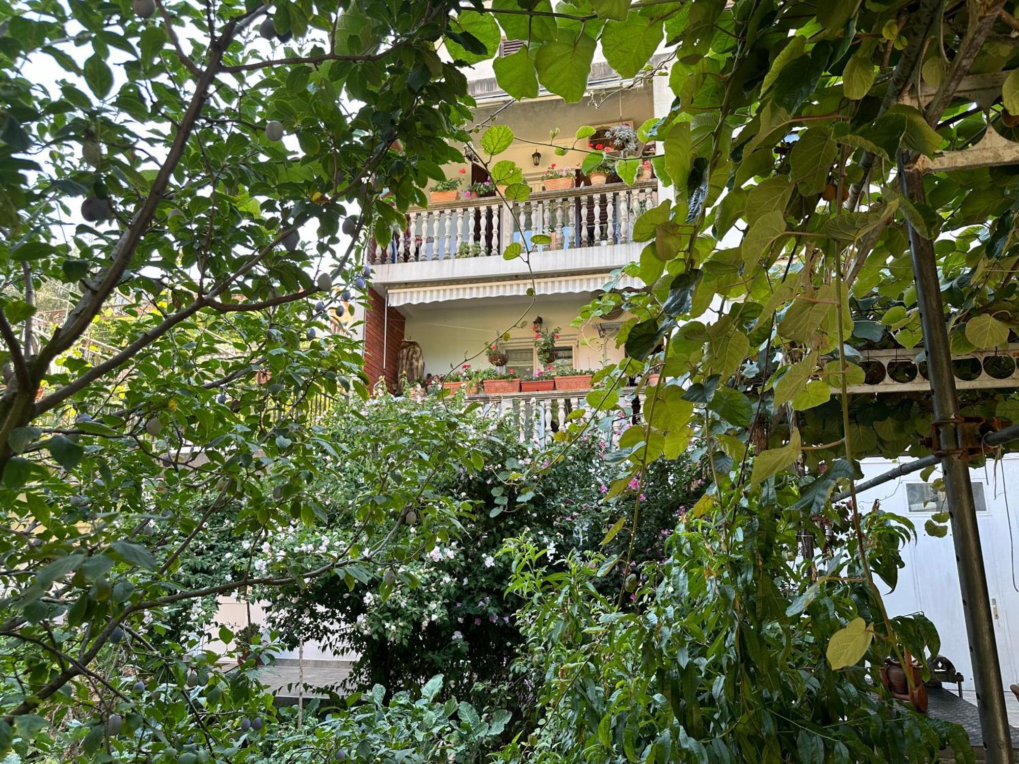 Apartments Suzana Herceg Novi Kültér fotó